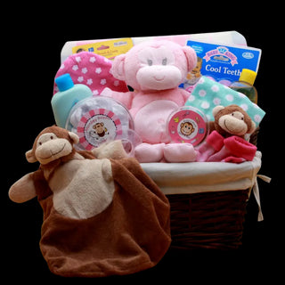Little Monkey Gift Basket - Pink - Conrad's Best Gourmet Gifts - product image