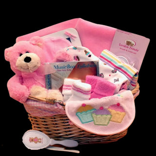 The Basics Baby Gift Basket -Pink - Conrad's Best Gourmet Gifts - product image