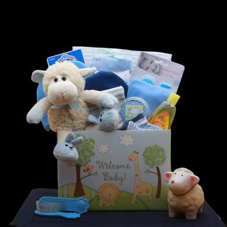 Blue New Baby Gift Box - Conrad's Best Gourmet Gifts - product image
