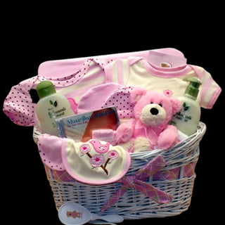 Deluxe Baby Gift Basket - Pink - Conrad's Best Gourmet Gifts - product image